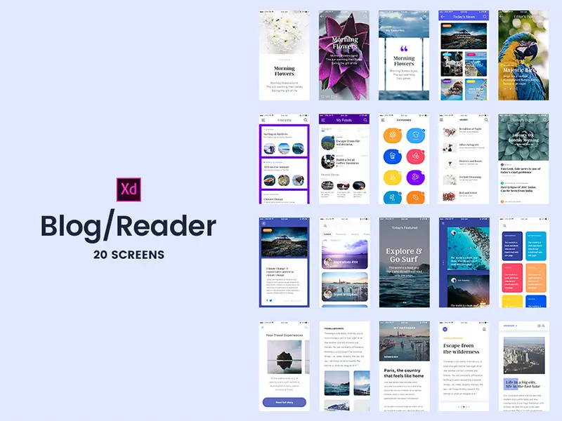 Adobe XD 20 Blog Reader Screens