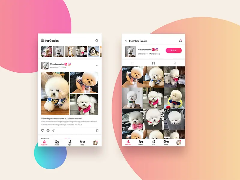 Roxi Social App For Pet Lovers