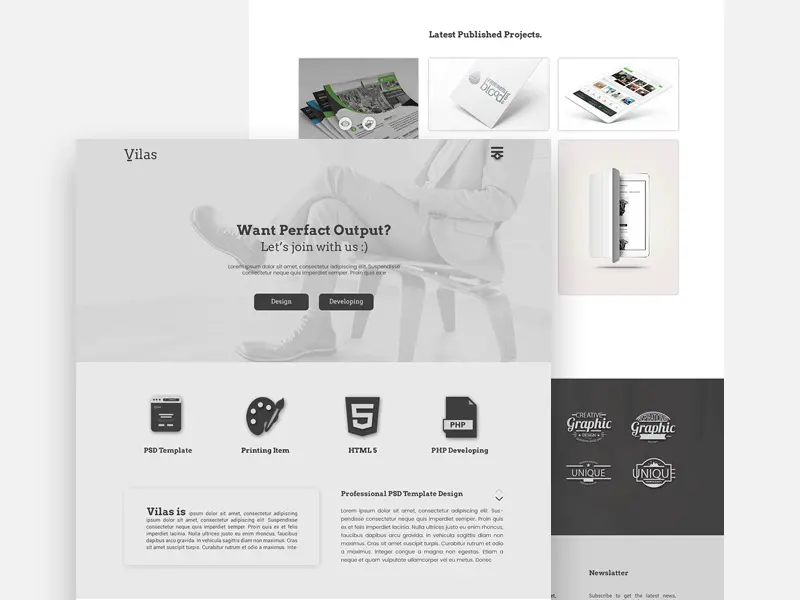 Vilas Portfolio Template