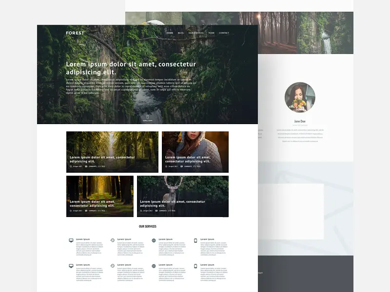 Forest Website Template