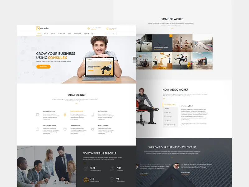 Consulex Free UI Kit Web Theme