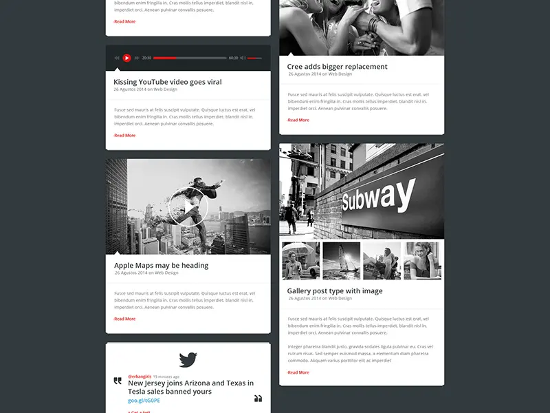 Blog Template Aniva