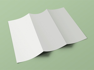 Front & Back Tri Fold Brochure Mockup