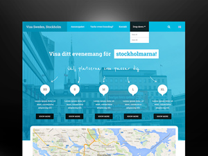 Nordic Website Concept