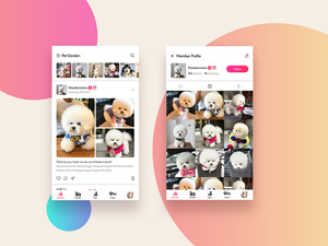 Roxi - Social App For Pet Lovers