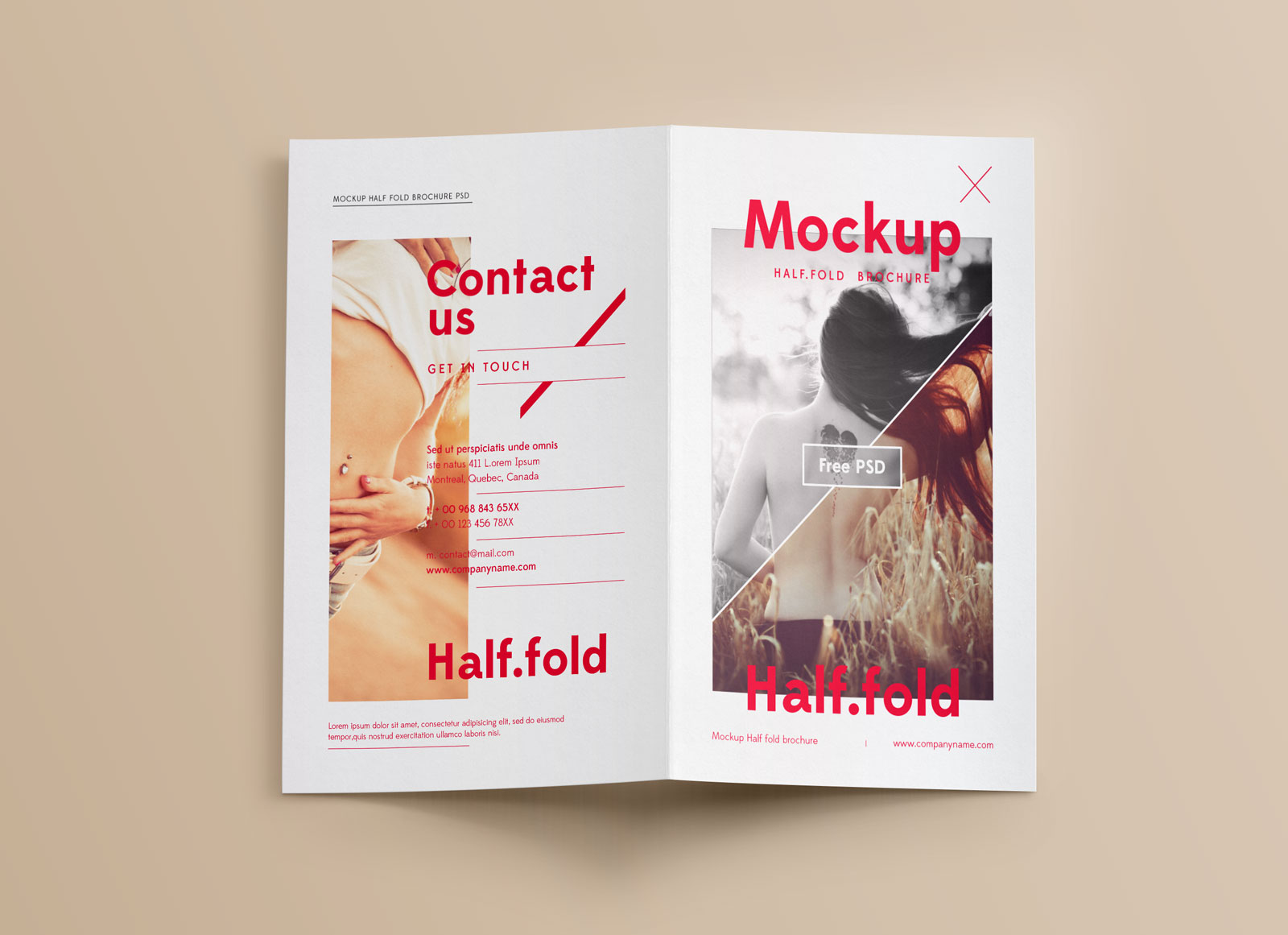 Simple Bi-Fold Brochure Mockup